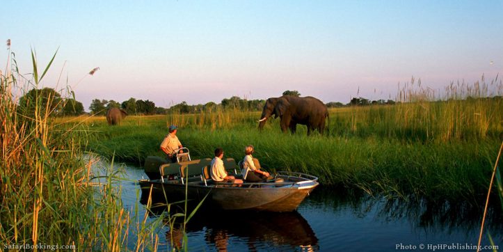 00_10-Okvango_Delta_Facts_You_Did_Not_Know_About-600px-723×362-1